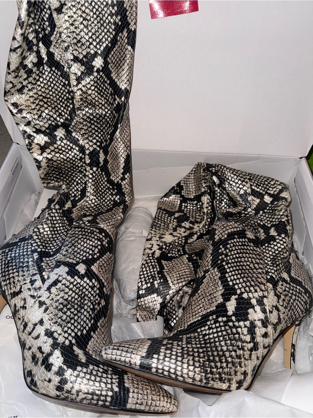 Aldo Snake Print Knee-High Boots in Black and Cream